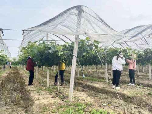 农业合作社起名,农业合作社起名大全集免费？