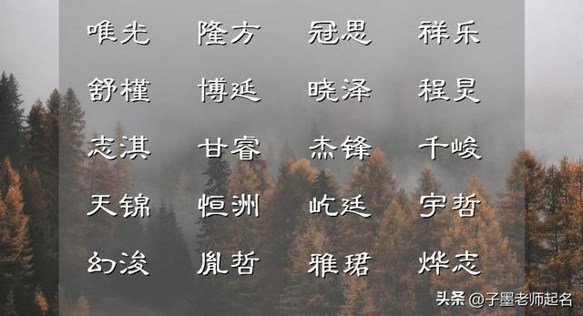 李姓男孩起名,李姓男孩起名字好寓意的字？