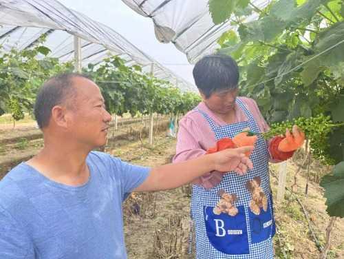 农业合作社起名,农业合作社起名大全集免费？