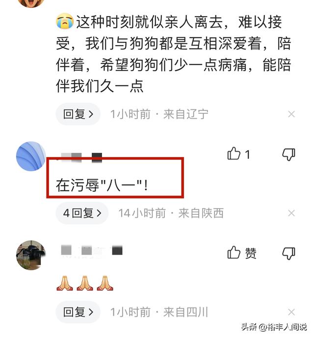 狗狗取名,狗狗取名招财又吉利的名字？